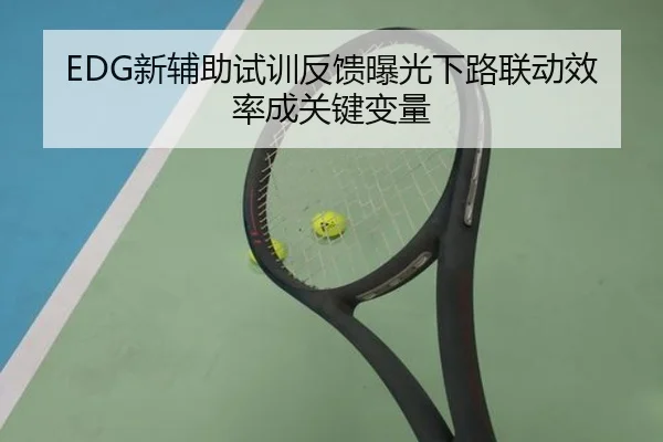 EDG新辅助试训反馈曝光下路联动效率成关键变量（JIUZHOU）